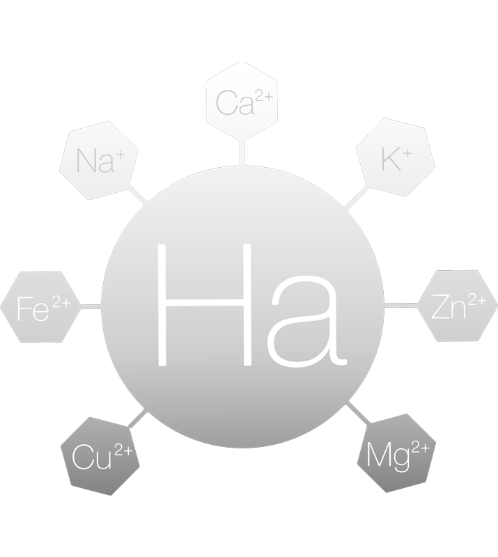 Hyalogy P-effect Basing Emultion - Muse Body Shape Boutique